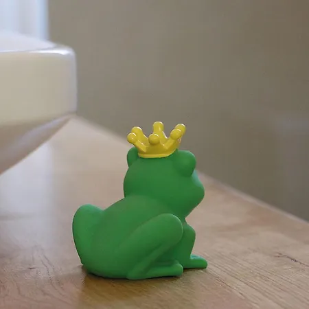 Prázdninový dům Froschkoenig Oberharmersbach