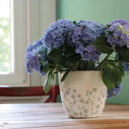 Froschkoenig Holiday home Oberharmersbach