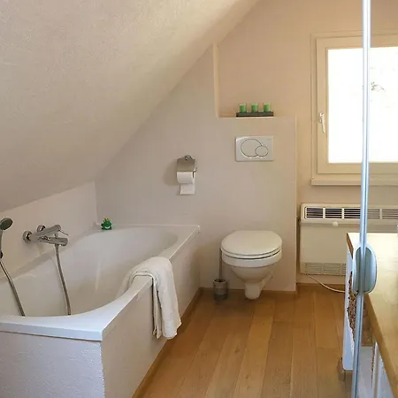 Froschkoenig Holiday home Oberharmersbach