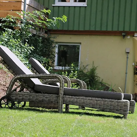 Froschkoenig Holiday home Oberharmersbach