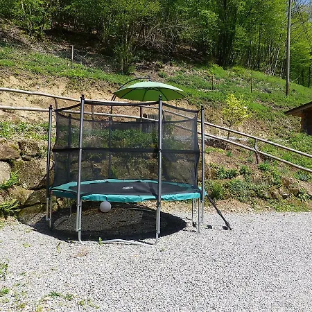 Froschkoenig *