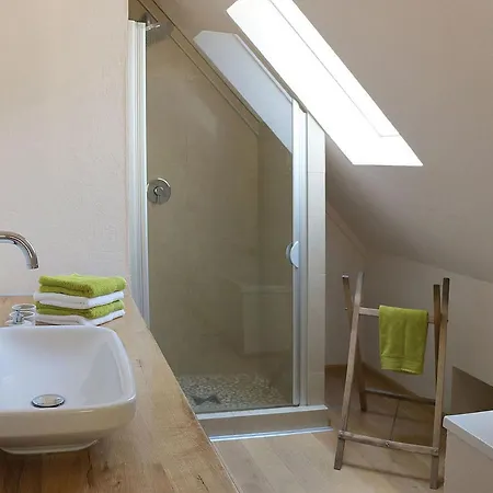 Froschkoenig Holiday home Oberharmersbach